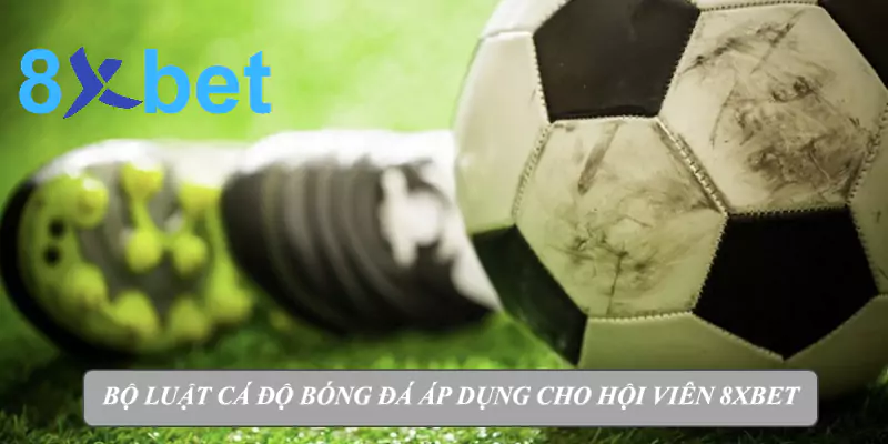 Tìm hiểu bộ luật cá độ bóng đá áp dụng cho hội viên 8xbet