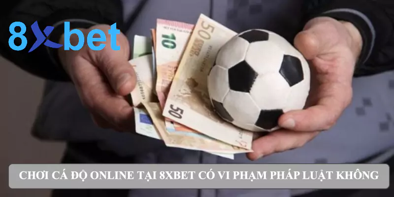 Chơi cá độ online tại 8xbet có vi phạm pháp luật không