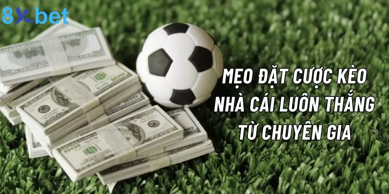 8xbet chia sẻ mẹo phân tích tỷ lệ kèo nhà cái luôn thắng từ chuyên gia