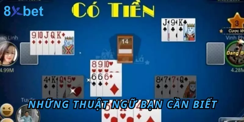 Những thuật ngữ bạn cần biết